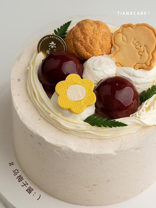 【经典奶油款】乌梅子酱 商品图1