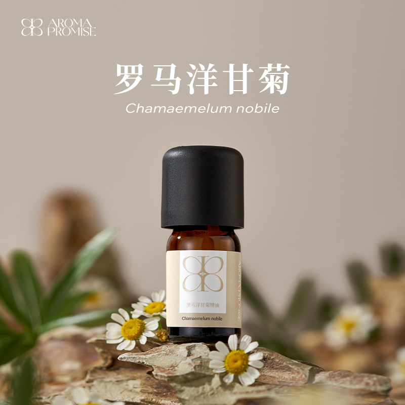 罗马洋甘菊2ml香甜的花香中带着青草气息 sha菌消yan缓解头部不适和睡眠