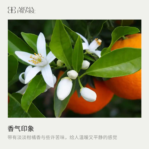 苦橙叶精油10ml香甜中带有木质香青草香 商品图1