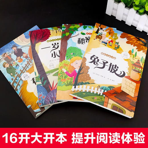 山东画报 彩图注音版国际大奖小说（兔子坡+小鹿+花园+汉克） 全4册 商品图3