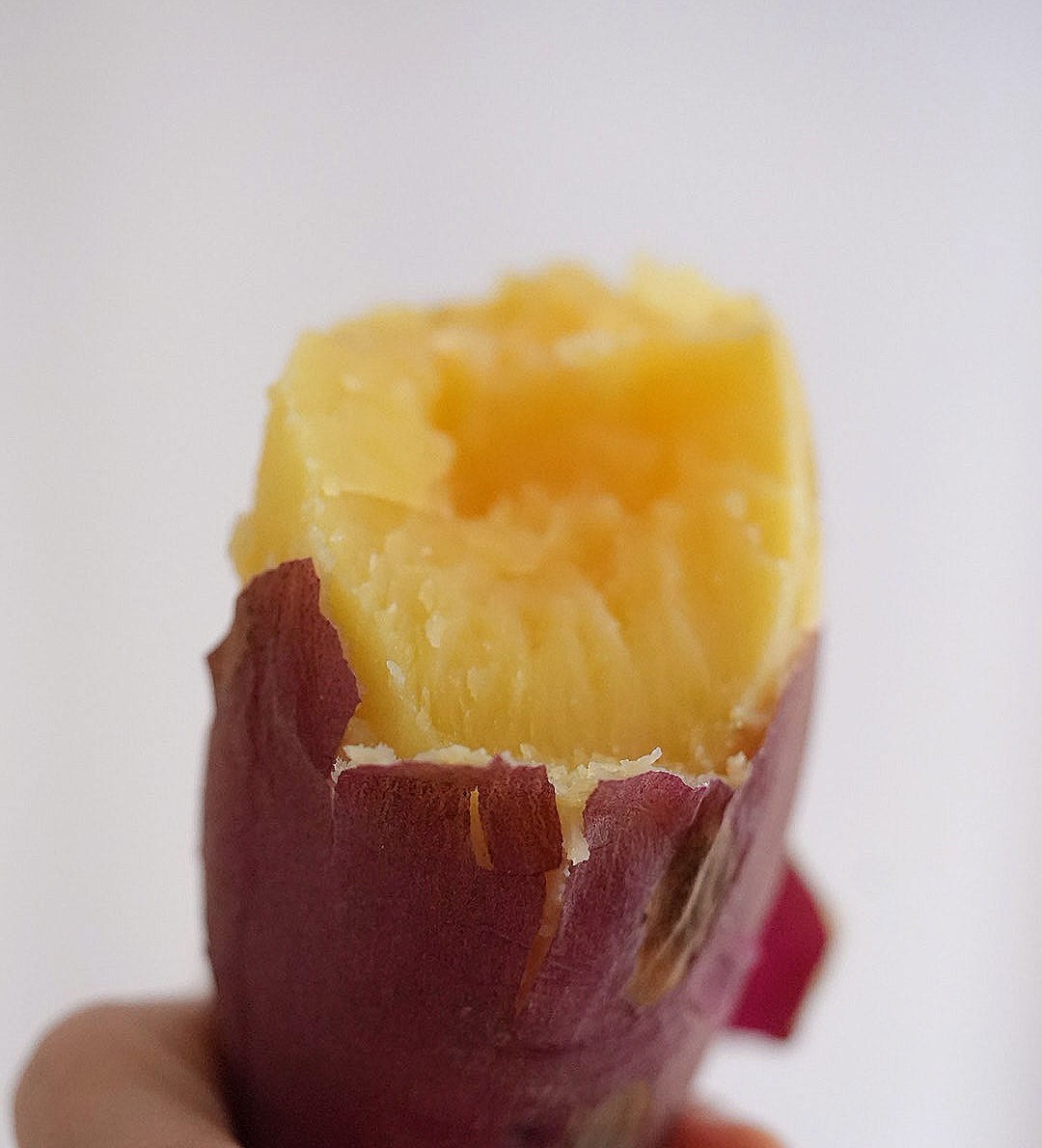 猫太推荐—海南灯塔地瓜｜甜度适中·好吃不噎人｜粉粉糯糯的减脂帮手｜值得一试🍠