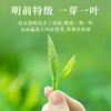 【臻尖-碧螺春大成】新茶 鲜爽回甘明前绿茶碧螺春125g*2罐 商品缩略图1