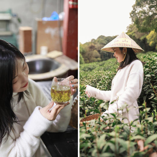 2026西湖明前龙井🍵核心yi级产区 高山明前龙井 头茬开采制作中！龙井43头茬 早送礼心意足 清甜香气 ！老茶树群体种头茬香郁 老茶客s选！花花品质生活团 商品图13