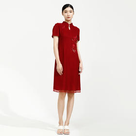 戴布拉芬连衣裙L26B552