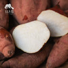 生态白心红薯| 合作生产* Eco sweet potato | Coproduction 商品缩略图2