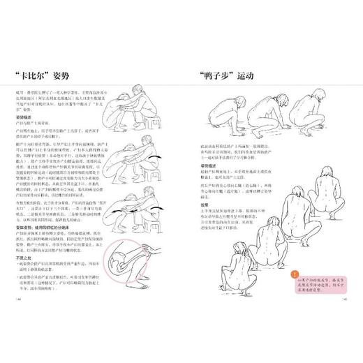 骨盆功能运动与分娩 商品图1