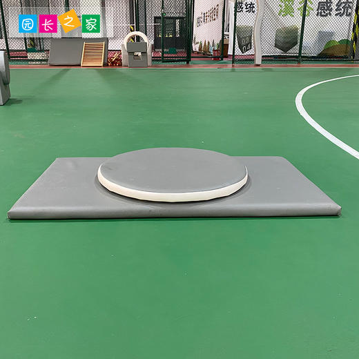 多功能转盘前庭平衡台旋转盘教玩具早教儿童室内感统游戏训练器材 商品图3