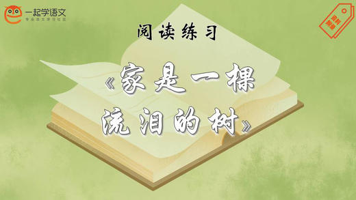 阅读练习：《家是一棵流泪的树》 商品图0