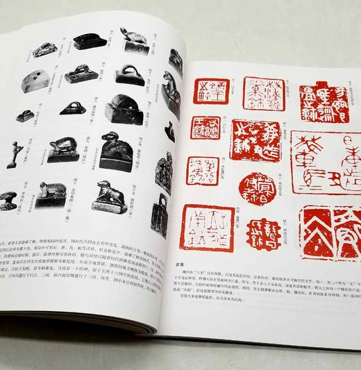 二玄社书法讲座五种：《隶书》《篆书》《楷书》《行书》《篆刻》，16开平装，日 西川宁主编，湖南美术出版社2021年版，单册定价68，售价：34，五册总定价340，售价170元。 商品图11