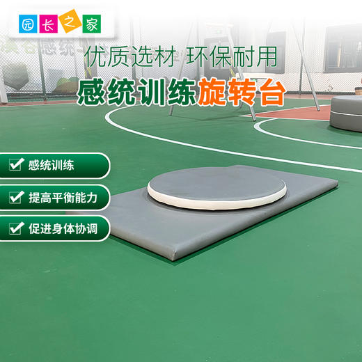 多功能转盘前庭平衡台旋转盘教玩具早教儿童室内感统游戏训练器材 商品图0