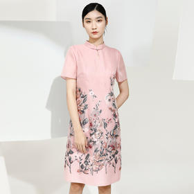 戴布拉芬连衣裙L26B532