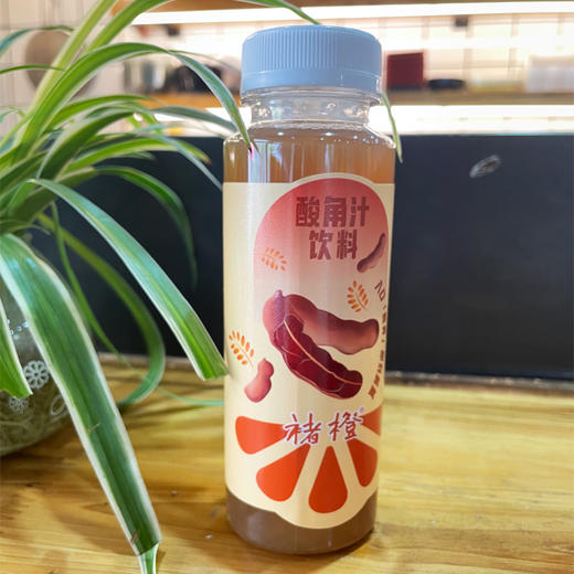褚橙酸角汁245ml*18 商品图2