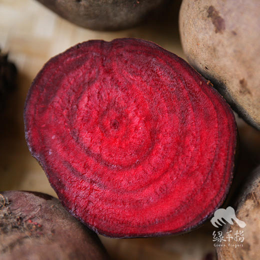 生态甜菜根（大理，中通快递） |合作生产*Ecological Beetroot| Coproduction 商品图0