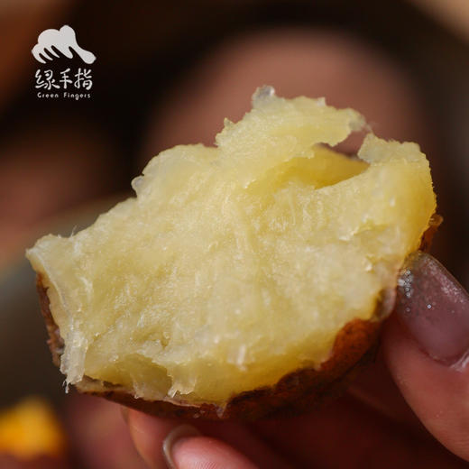 生态白心红薯| 合作生产* Eco sweet potato | Coproduction 商品图0