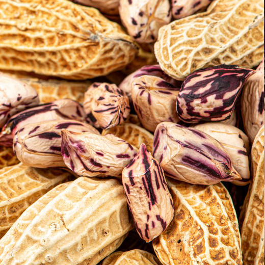 云南野地七彩花生 商品图2