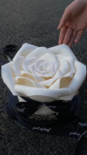 白色玫瑰花【翻糖蛋糕装饰请提前一天定】