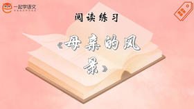 阅读练习：《母亲的风景》