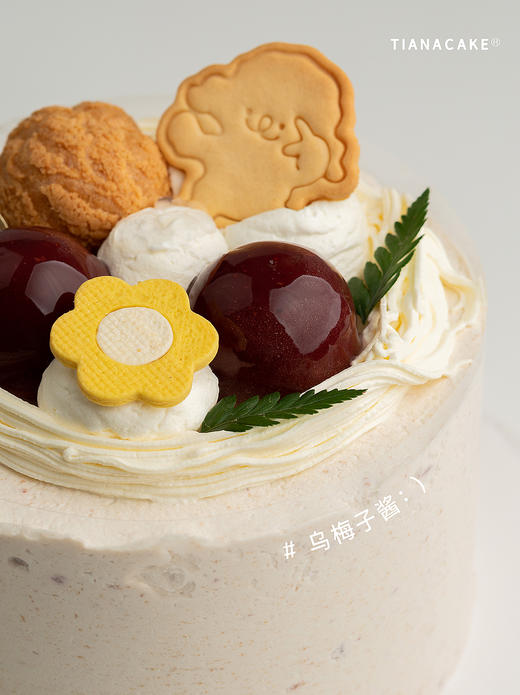 【经典奶油款】乌梅子酱 商品图2