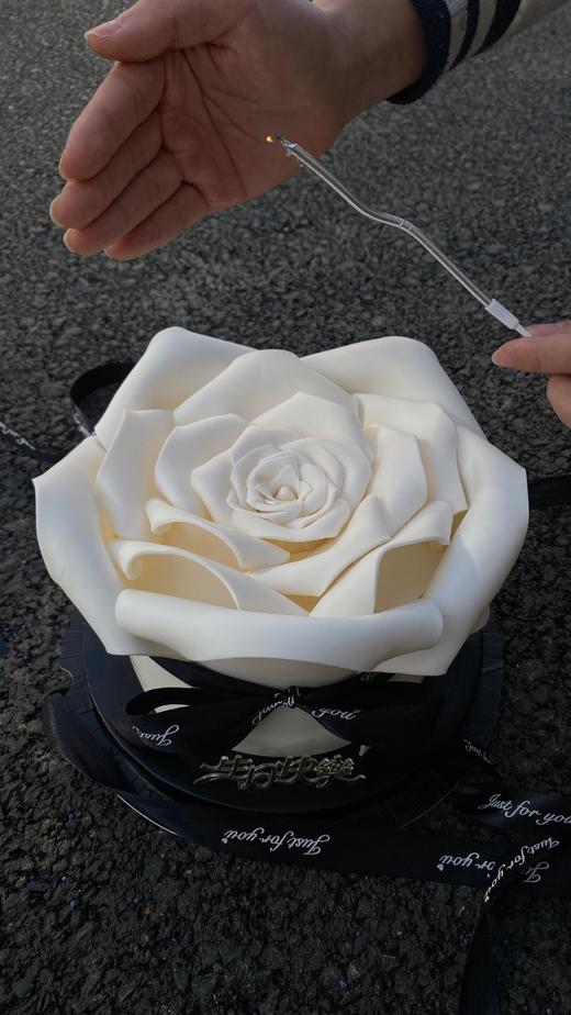 白色玫瑰花【翻糖蛋糕装饰请提前一天定】 商品图2