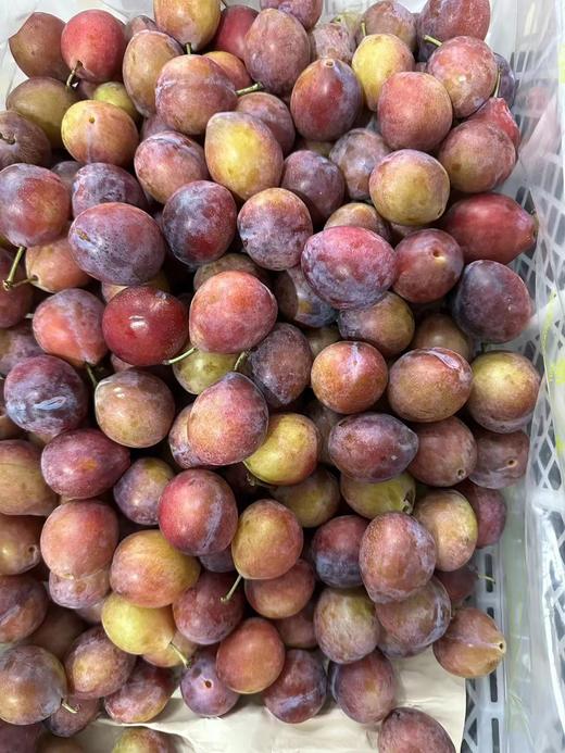 XZG-西梅2j大果 1斤/份～22元 ,2斤/份～39元 商品图1