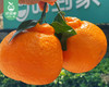 四川眉山精笃大雅柑礼盒/1箱（3.5kg±100g） 商品缩略图3