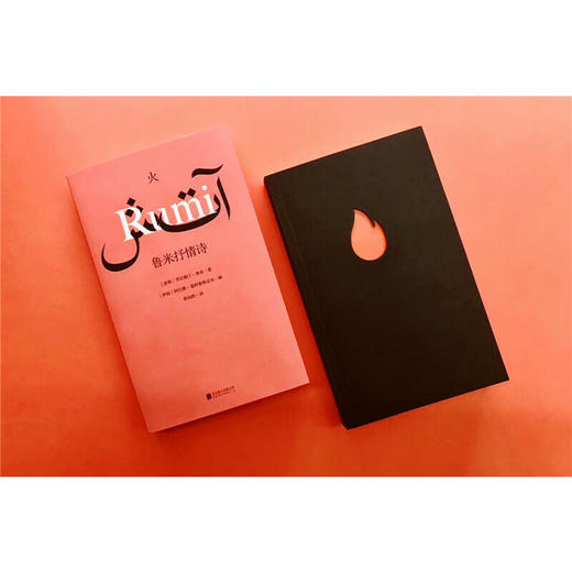 【译者签名本】《火：鲁米抒情诗》 [波斯]贾拉勒丁·鲁米 著、 [伊朗]阿巴斯·基阿鲁斯达米 编 、黄灿然 译 商品图5