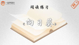 阅读练习：《向日葵》