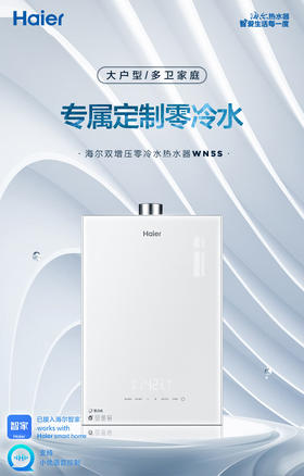 海尔（Haier）16升双增压双循环零冷水燃气热水器天然气WIFI语音智控家用沐浴 【零冷水】JSQ30-16WN5S(12T)U1 16升(天然气)