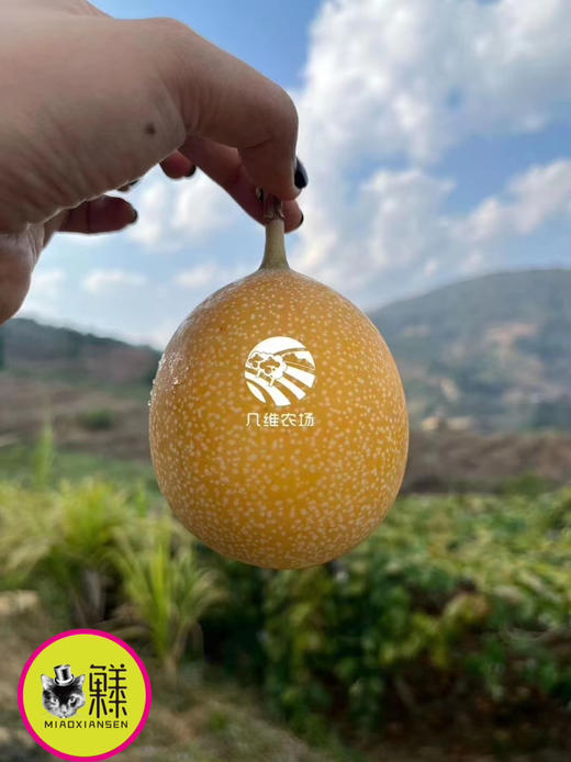 【奇珍异果】国产哥伦比亚热情果（爱情果）纯甜百香果10-12枚一箱 商品图4