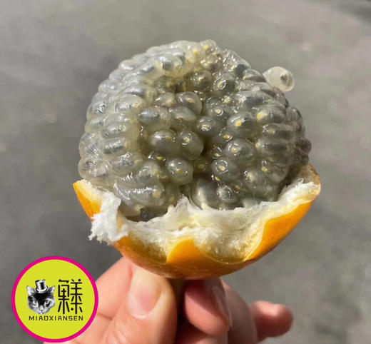 【奇珍异果】国产哥伦比亚热情果（爱情果）纯甜百香果10-12枚一箱 商品图1