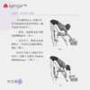 B1191 椅子瑜伽习练指南 （新版） 商品缩略图4