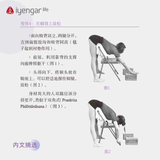 B1191 椅子瑜伽习练指南 （新版） 商品图4