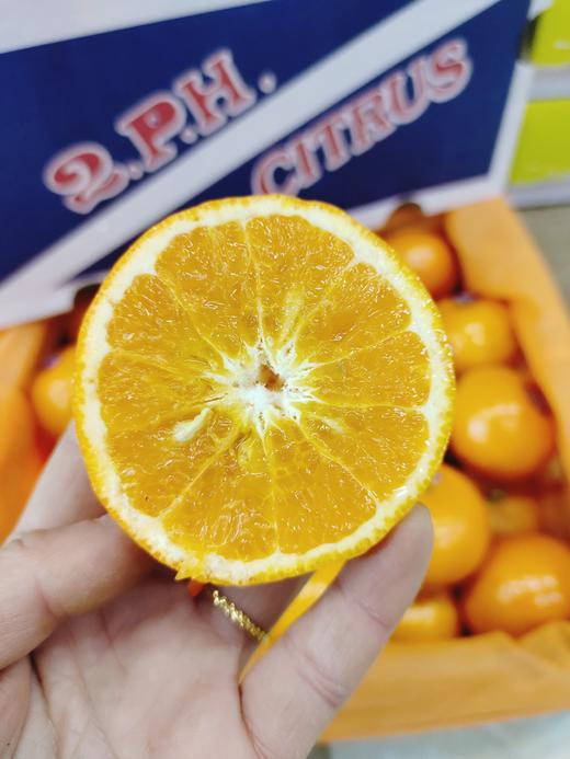 澳桔一箱（拼团） 商品图1