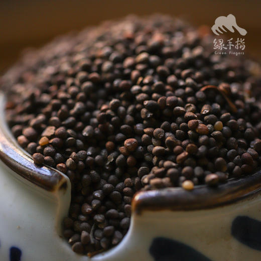 生态紫苏籽|合作生产*Eco-Perilla Seed | Coproduct 商品图0