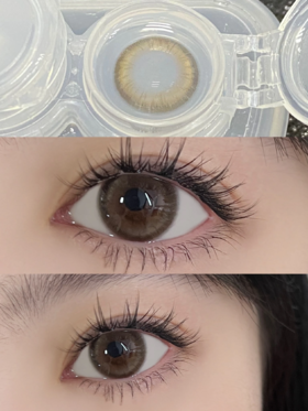 正品半年抛 | Lemoncon系列燕麦酒美瞳 | 直径14.5着色13.82 | 新国货