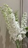 【现货】肯尼亚大飞燕-白色  5支/扎   约90公分 商品缩略图2
