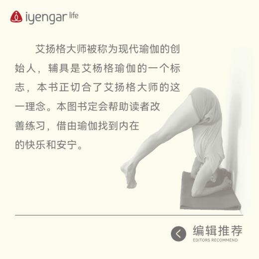 B1194 辅具瑜伽习练指南Ⅲ（新版） 商品图3
