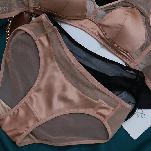 TG-TG01S140真丝中腰内裤女 无痕缎面桑蚕丝三角裤短裤透气 商品图0