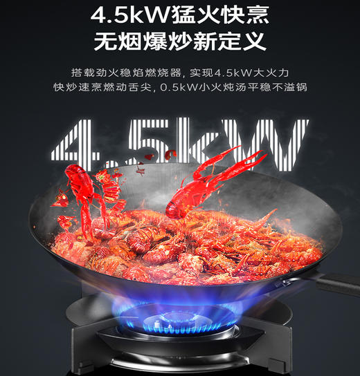 火星人二星消毒集成灶N50BX01 商品图1