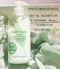 伊丽莎白雅顿绿茶身体乳500ml 商品缩略图0