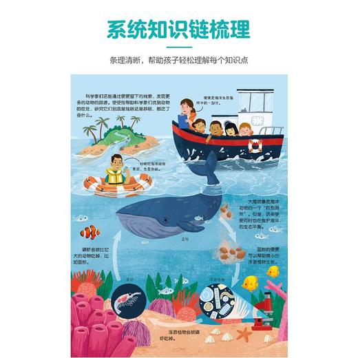 揭秘便便 商品图1