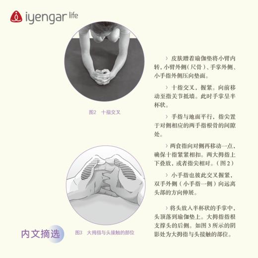 B1194 辅具瑜伽习练指南Ⅲ（新版） 商品图4