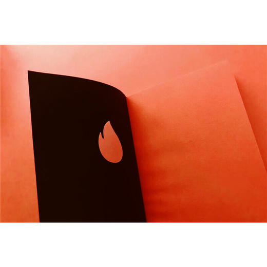 【译者签名本】《火：鲁米抒情诗》 [波斯]贾拉勒丁·鲁米 著、 [伊朗]阿巴斯·基阿鲁斯达米 编 、黄灿然 译 商品图6