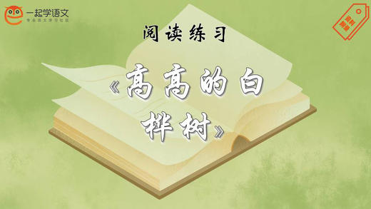 阅读练习：《高高的白桦树》 商品图0