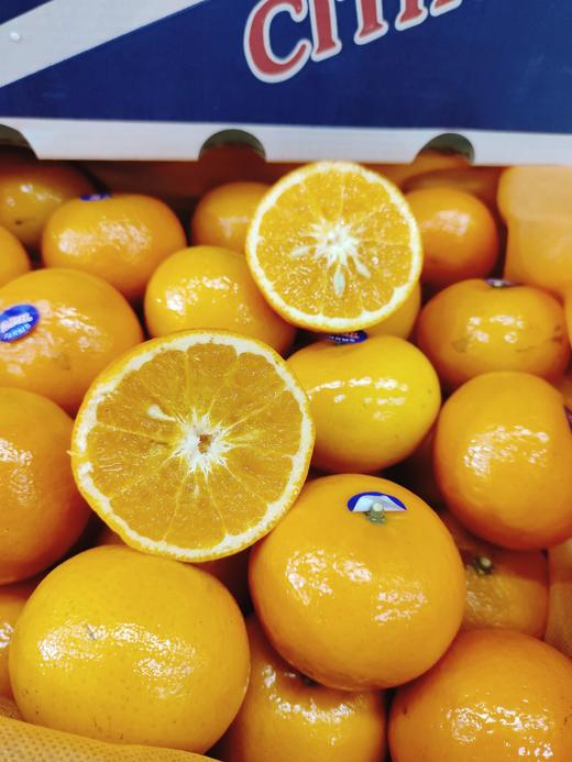 澳桔一箱（拼团） 商品图2