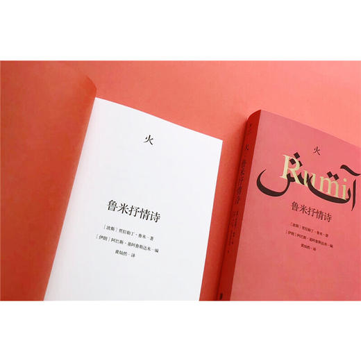 【译者签名本】《火：鲁米抒情诗》 [波斯]贾拉勒丁·鲁米 著、 [伊朗]阿巴斯·基阿鲁斯达米 编 、黄灿然 译 商品图3