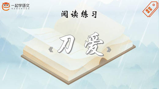 阅读练习：《刀爱》 商品图0