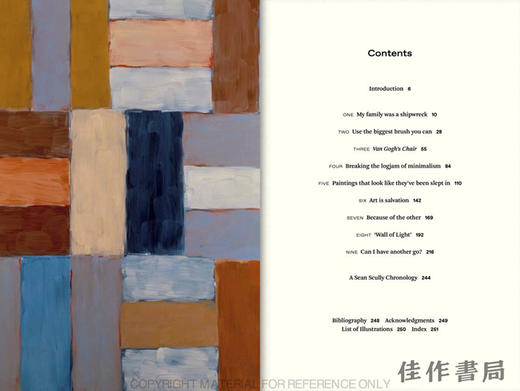 On the Line: Conversations with Sean Scully / 在线：与肖恩·斯库利的对话 商品图1