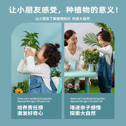 【绿植现货】种子乐乐杯8.9(让小朋友感觉 种植物的意义 现货 下单即可到店自提） 商品图9