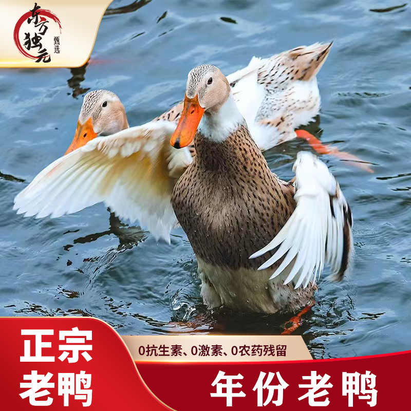 【独元】4年老鸭1kg*1只